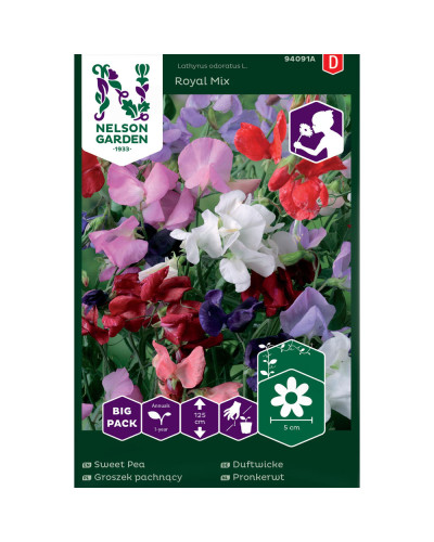 Nelson Garden Duftwicke, Royal Mix, Big Pack