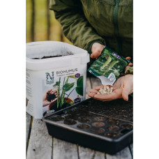 Nelson Garden Erbse, Zucker-, Nairobi