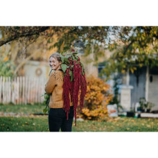 Nelson Garden Garten-Fuchsschwanz