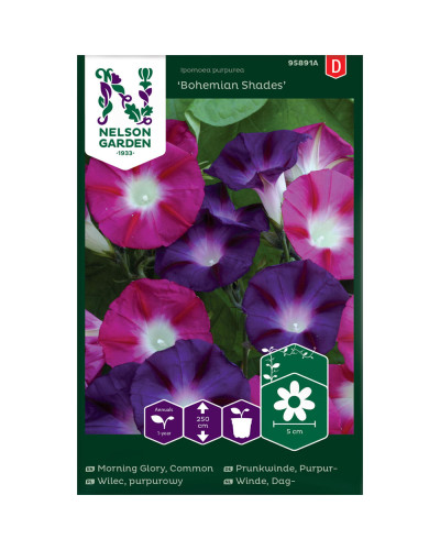 Nelson Garden Prunkwinde, Purpur-, Bohemian Shades