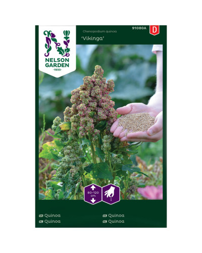 Nelson Garden Quinoa, Vikinga