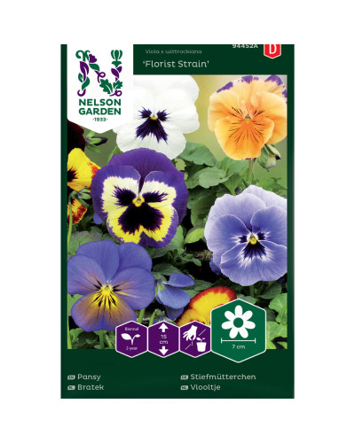 Nelson Garden Stiefmütterchen, Florist Strain