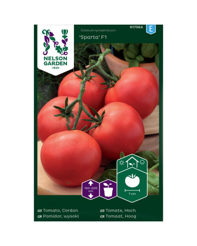Nelson Garden Tomate, Hoch, Sparta F1