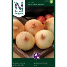 Nelson Garden Zwiebel, Küchen-, Stuttgarter Riesen
