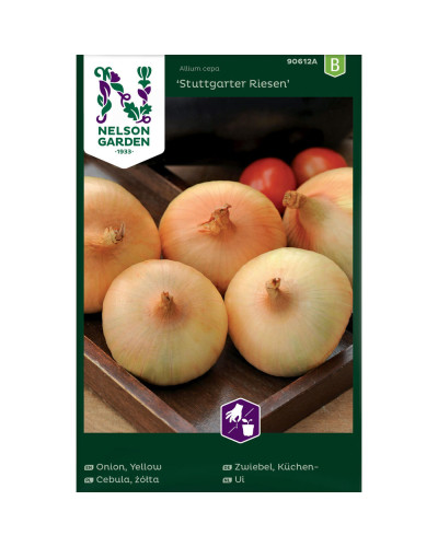 Nelson Garden Zwiebel, Küchen-, Stuttgarter Riesen