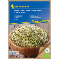 Kiepenkerl Profi Sprossen & Microgreens Bio Anzucht Set