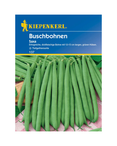Kiepenkerl Buschbohnensamen Saxa