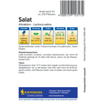 Kiepenkerl Kopfsalatsamen Attraktion