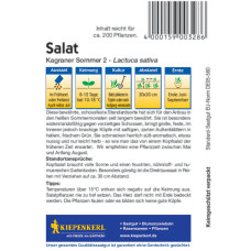 Kiepenkerl Kopfsalatsamen Kagraner Sommer 2