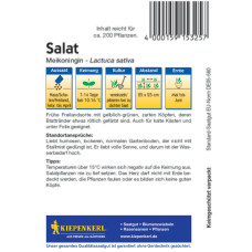 Kiepenkerl Kopfsalatsamen Meikoningin
