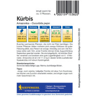 Kiepenkerl Kürbissamen Amazonka
