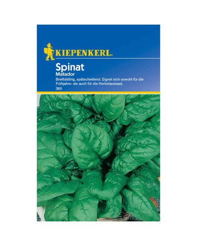 Kiepenkerl Spinatsamen Matador