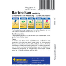 Kiepenkerl Bartnelkensamen Einfachblühende Mischung