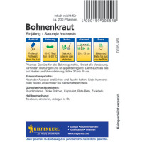 Kiepenkerl Bohnenkrautsamen, einjährig