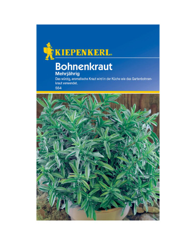 Kiepenkerl Bohnenkrautsamen, mehrjährig