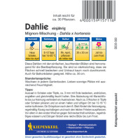 Kiepenkerl Dahliensamen Mignon-Mischung