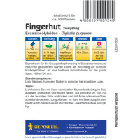 Kiepenkerl Fingerhutsamen Excelsior