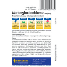 Kiepenkerl Glockenblumensamen Prachtmischung