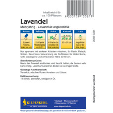 Kiepenkerl Lavendelsamen, mehrjährig