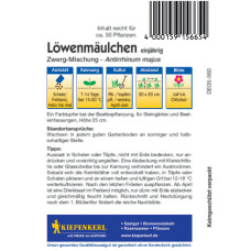 Kiepenkerl Löwenmäulchensamen Zwerg-Mischung