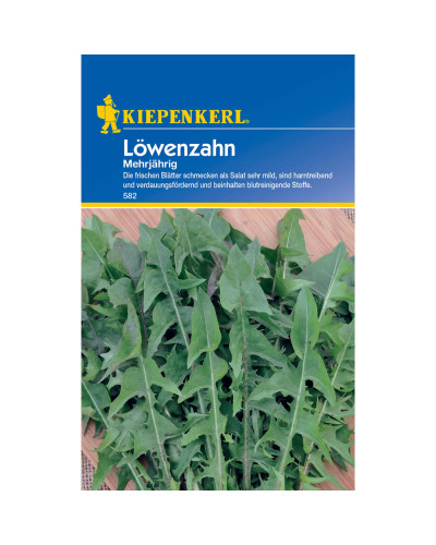 Kiepenkerl Löwenzahnsamen, mehrjährig