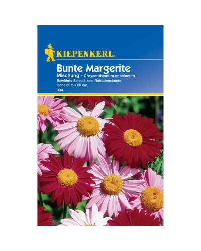 Kiepenkerl Margeritensamen Mischung