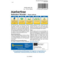 Kiepenkerl Markerbsensamen Kelvedon Wonder