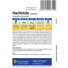 Kiepenkerl Nachtviolensamen