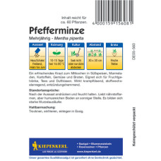 Kiepenkerl Pfefferminzesamen, mehrjährig