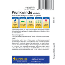 Kiepenkerl Prunkwindensamen Prachtmischung
