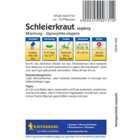 Kiepenkerl Schleierkrautsamen Mischung