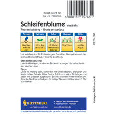Kiepenkerl Schleifenblumensamen Feenmischung