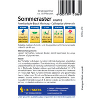 Kiepenkerl Sommerasternsamen Amerikanische Busch Mischung