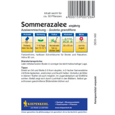 Kiepenkerl Sommerazaleensamen Azaleenmischung