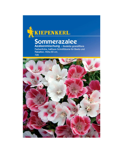 Kiepenkerl Sommerazaleensamen Azaleenmischung