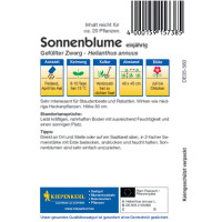 Kiepenkerl Sonnenblumensamen Gefüllter Zwerg