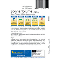 Kiepenkerl Sonnenblumensamen Hohe Riesen