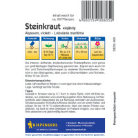 Kiepenkerl Steinkrautsamen Alyssum, violett