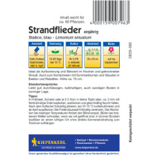 Kiepenkerl Strandfliedersamen Statice