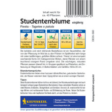 Kiepenkerl Studentenblumensamen Fiesta