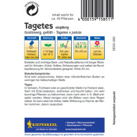 Kiepenkerl Studentenblumensamen Goldzwerg