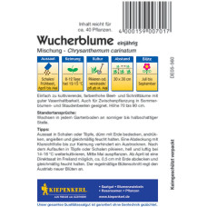 Kiepenkerl Wucherblumensamen Mischung