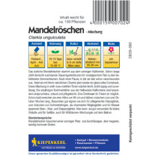 Kiepenkerl Wucherblumensamen Mischung