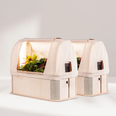 BerlinGreen GreenBox Sweet & Spicy Double Bundle