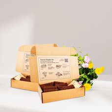 BerlinGreen GreenBox Sweet & Spicy Double Bundle