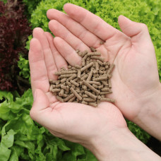 Falter Bio Schafwolldünger Mini-Pells 0.85 kg