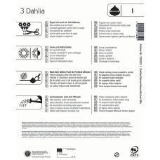 Kiepenkerl Bienenfreundlicher Halskrausen-Dahlie Mix