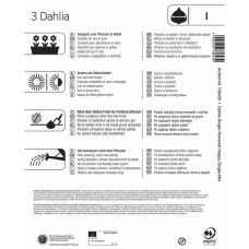 Kiepenkerl Dunkellaubige Beetdahlie Happy Single Mix