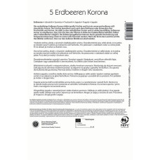 Kiepenkerl Erdbeeren Korona Fragaria x ananassa