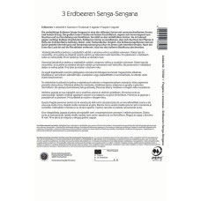 Kiepenkerl Erdbeeren Senga-Sengana Fragaria x ananassa